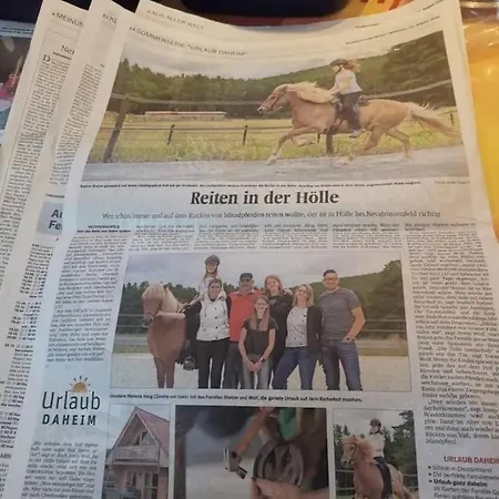 Ferienblockhaus 6 Hoelle *