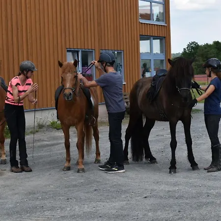 Semesterbostad Ferienblockhaus 6 Hoelle
