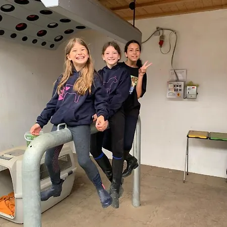 Ferienblockhaus 6 Hoelle