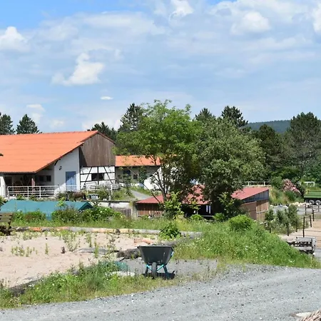 Semesterbostad Ferienblockhaus 6 Hoelle *